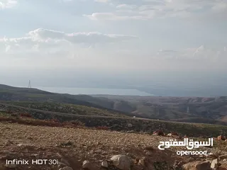  6 مادبا ماعين قطعة أرض زراعية مميزة مطلة على البحر الميت والضفة الغربية بمساحة 21 دونم