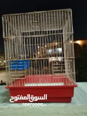  3 قفص عصافير للبيع بسعر مغري