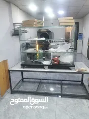  7 مطعم او عدة مطعم بيتزا ومعجنات
