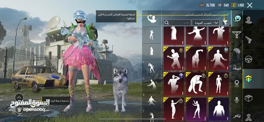  6 حساب ببجي عالمية لفل 74