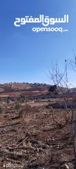  10 قفقفا 13 دنم منطقة مزارع وشاليهات وطبيعة خلابة مسيجة جدار حجر