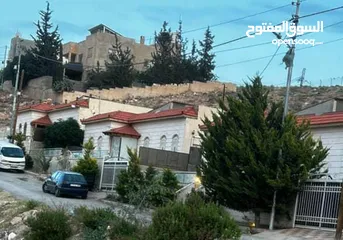  3 بيت مستقل في اجمل مناطق الزرقاء