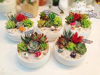  17 Handmade pots