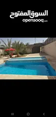 1 مزرعة للبيع الغور