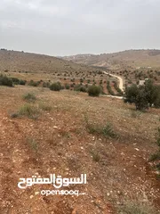  6 قطعة ارض منطقة نادرة - ام رمانة شرق جرش موقع هادئ وجميل جدا