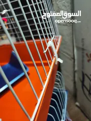  3 قفص لللبط و ارانب و هامستر ازواج ، و طيور و كل شي