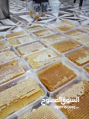  12 يوجد عسل طبيعي مكفول 100٪ من جبال عجلون _ عرجان
