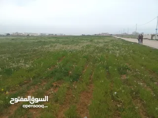  1 ارض للبيع في اجمل مناطق الرجم الشامي في سحاب