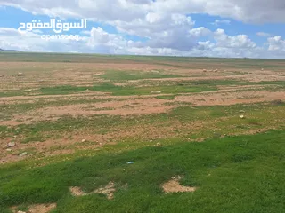  4 ارض للبيع في المفرق ثغرة الجب