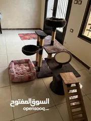 5 بيت ومنزل وشجرة قطط مع مشط ولعبه