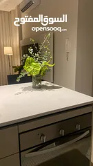  7 شقة  1 نوم مفروشة للايجار ( Property 43304 )-174999640