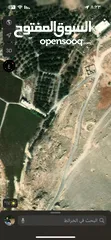  1 ارض للبيع في مادبا عيون موسى