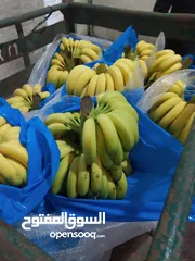  2 مشروع تجاري مربح بحاجه لتمويل