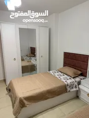  25 شقة مفروشة في المصيون