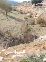  3 قطعة ارض للبيع