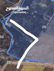  1 الموقع: طلوزة – سهل سميط الغربي