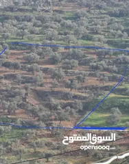  1 ارض لقطة للبيع بمساحة 605 متر مربع واصلها خدمات مياه وكهرباء للبيع