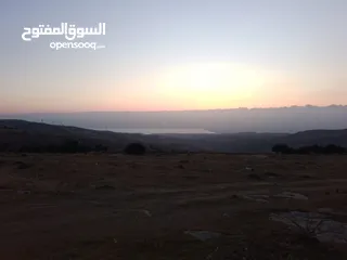  13 مادبا ماعين المشرفة قطعة ارض زراعية مميزة واصل الخدمات ذات اطلالة على البحر الميت واصل الخدمات