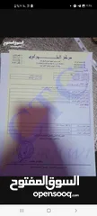  14 كيا مورننج تب نظافة للبيع كاش أو أقساط عن طريق الشركات الإسلامية فحص كامل 7 جيد