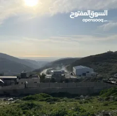  1 ارض للبيع في بيتونيا