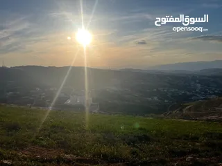 12 ارض الكمشة - استثمارية عالية و مطلة ( راس جبل)  قريب شارع الاردن 4 دونم إطلالة بانورامية مطلة