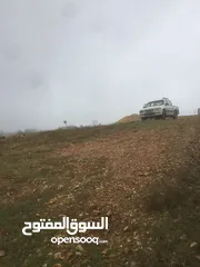  22 فرصة استثمارية! أرض زراعية مميزة بسعر مغري و بالقرب من أحراش الدولة للمزيد من المعلومات اقرأ الوصف