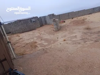  4 ارض للبيع في دبة حانوت تبعد عن مدينة العقبه 40 دقيقه