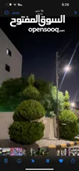  1 شقة للبيع بعين الباشا حي المصانع