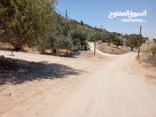  14 ارض مميزة مطلة ابو السوس غرب عمان عدة قطع في المنطقة.