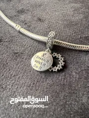  17 Pandora Charms Collection - Roza Accessories- كولكشن التشارمز من باندورا