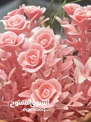  1 غرفة برايڤت لشخص