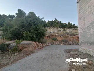  19 بيت ريفي للبيع في جرش - ثغرة عصفور