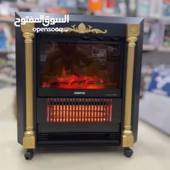  4 صورة القصور والفلل