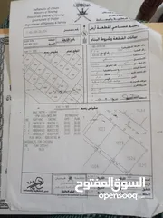  6 ارض مرباط  (  حينو )   مربع   (  ج  )