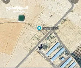  2 أرض للبيع 3.6 دونم في قرية البريك جنوب عمّان – كوشان مستقل، شارع وكهرباء، من المالك مباشرة.