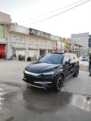  6 BYD TANG EV 2024