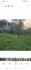  4 ارض كوشان طابو منطقه B مطله وكاشفه. وسط البلد يصلها شارع وجميع الخدمات حولها فلل