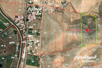 3 للبيع قطعة ارض من اراضي اربد دير ابي سعيد كفر ابيل مزروعة زيتون بسعر لقطة