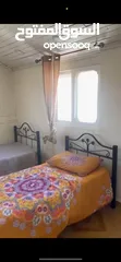  5 شقه مفروشه للإيجار بشارع وادي معالي / مار شيربل  Furnished Roof Apartment for Rent
