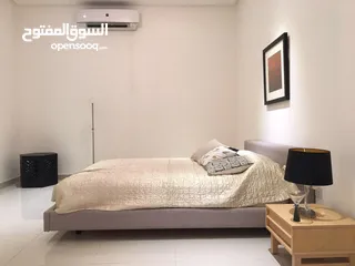  6 Villa for rent in Arad, luxury fully furnished duplex, 380