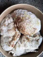  12 كرشات وفوارغ على كيفك كيفك