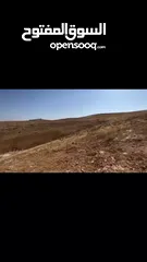  1 ارض للبيع في منطقه جريبا و بيرين