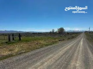  7 Exclusive Residential Plot for Sale in AL YALAYIS on the main roadقطعة أرض سكنية مميزة للبيع في اليل