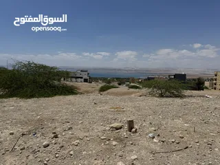  5 أرض مميزة مطلة على البحر الميت مباشرة