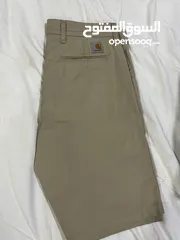  2 Carhartt shorts