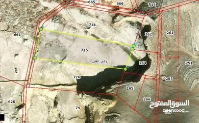  1 ارض 13 دونم مفروزة للاستثمار في وادي العش