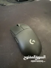  1 g pro mouse