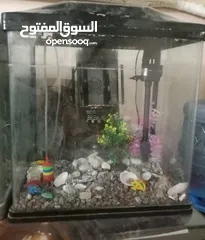  2 حوضين سمك مستورديين كالجداد