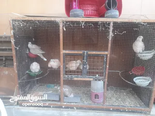  2 حمام ياكريم للبيع