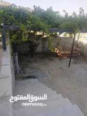  4 شقتين متجاورتين ارضيتين للايجارمطله على عين الباشا بالقرب من المطلات
